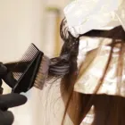 ハイライト